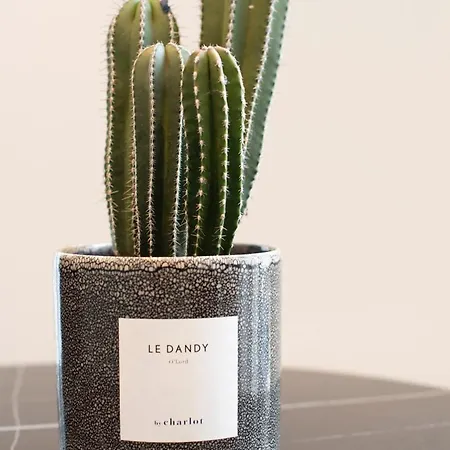 O'lord, 4 Etoiles, De Luxe Champs-elysees Paris