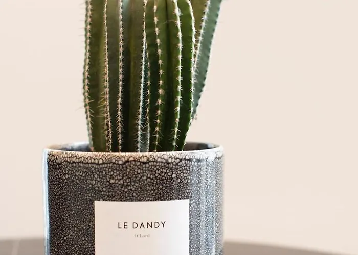 O'lord, 4 Etoiles, De Luxe Champs-elysees Paris